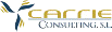 carrie consulting logo